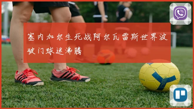 塞内加尔生死战阿尔瓦雷斯世界波破门球迷沸腾