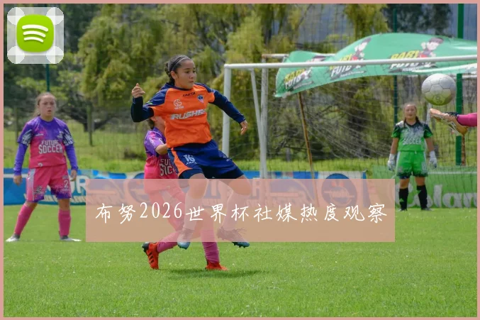 布努2026世界杯社媒热度观察