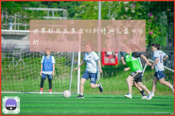世界杯厄瓜多尔vs科特迪瓦盘口分析