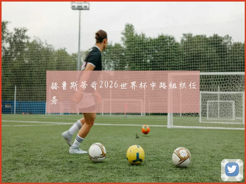 赫鲁斯蒂奇2026世界杯中路组织任务
